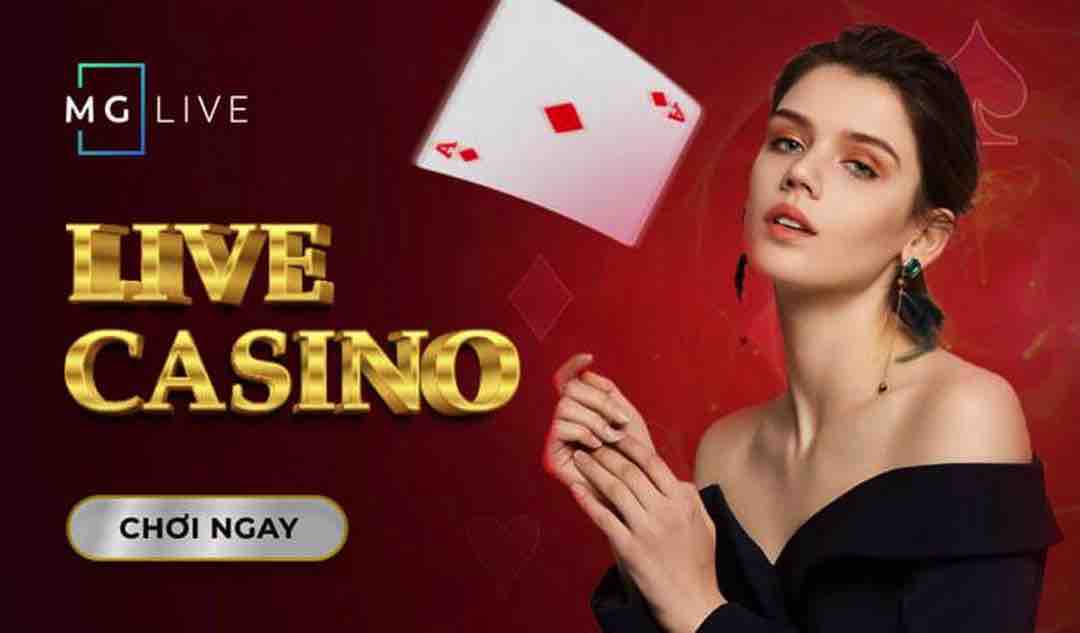 MG - Mang đến không gian live casino mới mẻ